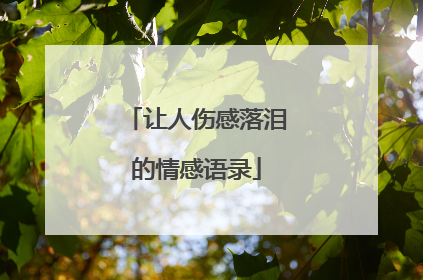 让人伤感落泪的情感语录