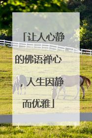 让人心静的佛语禅心,人生因静而优雅