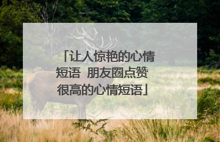 让人惊艳的心情短语 朋友圈点赞很高的心情短语