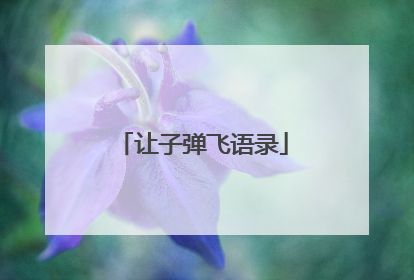 让子弹飞语录