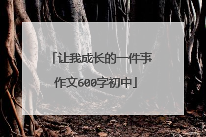 让我成长的一件事作文600字初中