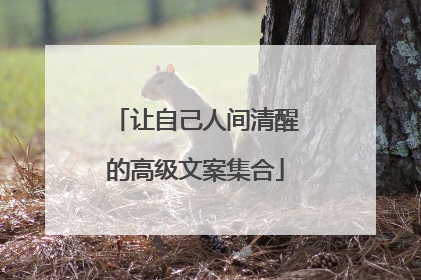 让自己人间清醒的高级文案集合