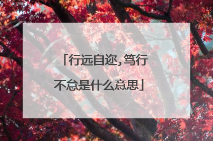 行远自迩,笃行不怠是什么意思