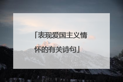 表现爱国主义情怀的有关诗句