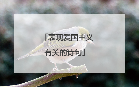 表现爱国主义有关的诗句