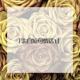 表白短句情话1