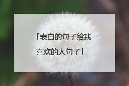 表白的句子给我喜欢的人句子