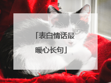 表白情话最暖心长句