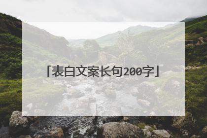 表白文案长句200字