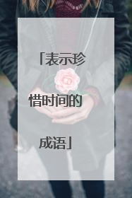 表示珍惜时间的成语