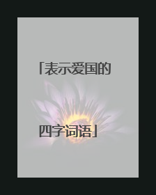 表示爱国的四字词语