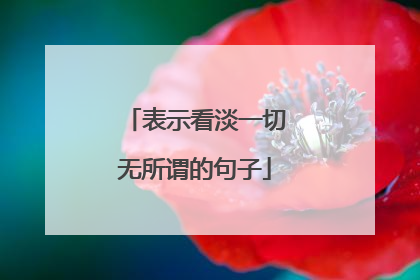 表示看淡一切无所谓的句子
