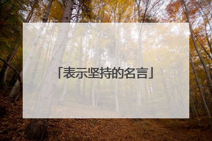 表示坚持的名言