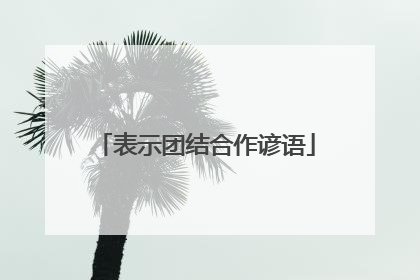 表示团结合作谚语