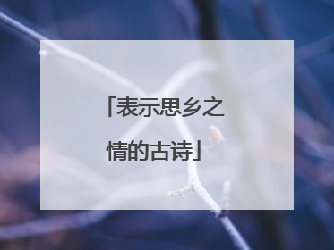 表示思乡之情的古诗