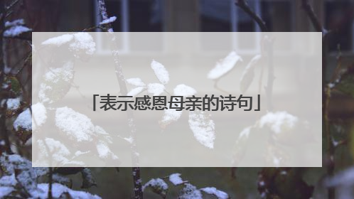 表示感恩母亲的诗句