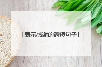 表示感谢的简短句子