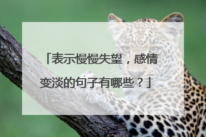 表示慢慢失望,感情变淡的句子有哪些?