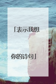表示我想你的诗句