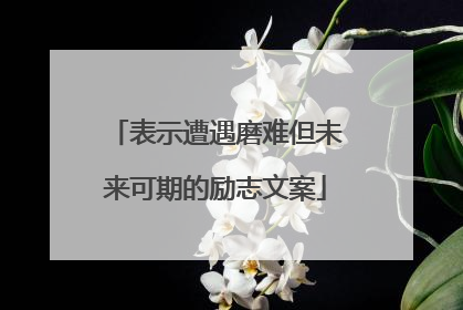 表示遭遇磨难但未来可期的励志文案
