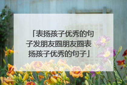 表扬孩子优秀的句子发朋友圈朋友圈表扬孩子优秀的句子