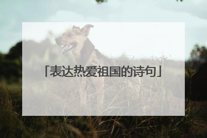 表达热爱祖国的诗句