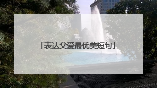 表达父爱最优美短句