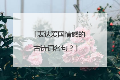 表达爱国情感的古诗词名句?