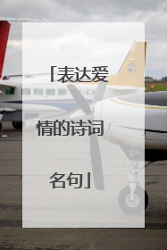 表达爱情的诗词名句