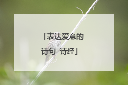 表达爱意的诗句 诗经