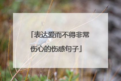 表达爱而不得非常伤心的伤感句子