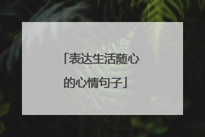 表达生活随心的心情句子