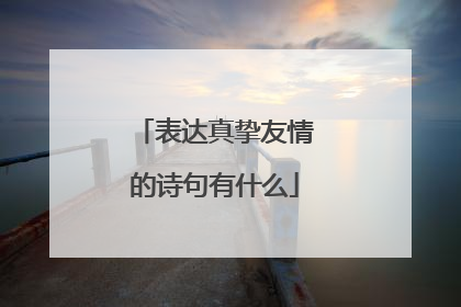 表达真挚友情的诗句有什么