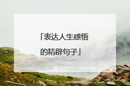 表达人生感悟的精辟句子