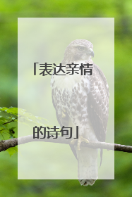 表达亲情的诗句