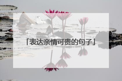 表达亲情可贵的句子
