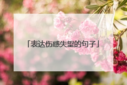 表达伤感失望的句子