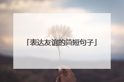 表达友谊的简短句子