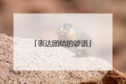 表达团结的谚语