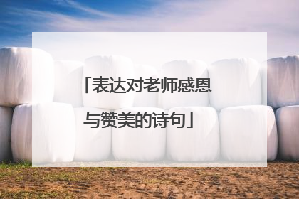 表达对老师感恩与赞美的诗句