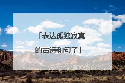 表达孤独寂寞的古诗和句子