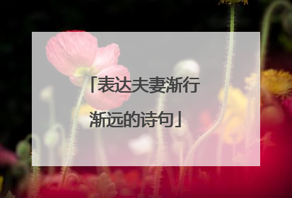 表达夫妻渐行渐远的诗句