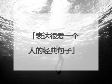 表达很爱一个人的经典句子