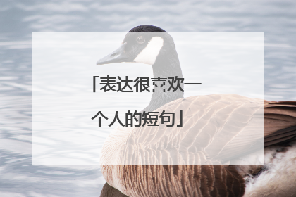 表达很喜欢一个人的短句