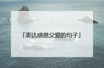 表达感恩父爱的句子
