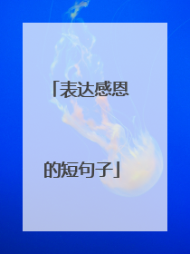 表达感恩的短句子