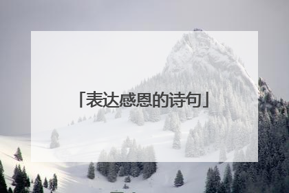 表达感恩的诗句