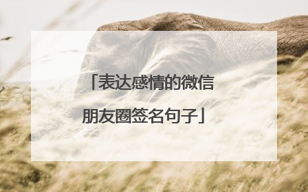 表达感情的微信朋友圈签名句子