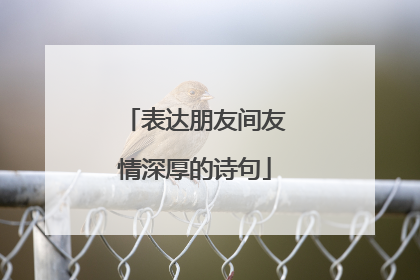 表达朋友间友情深厚的诗句