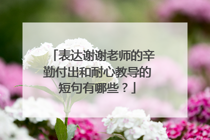 表达谢谢老师的辛勤付出和耐心教导的短句有哪些?